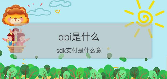 api是什么 sdk支付是什么意?sdk支付是什么意思？